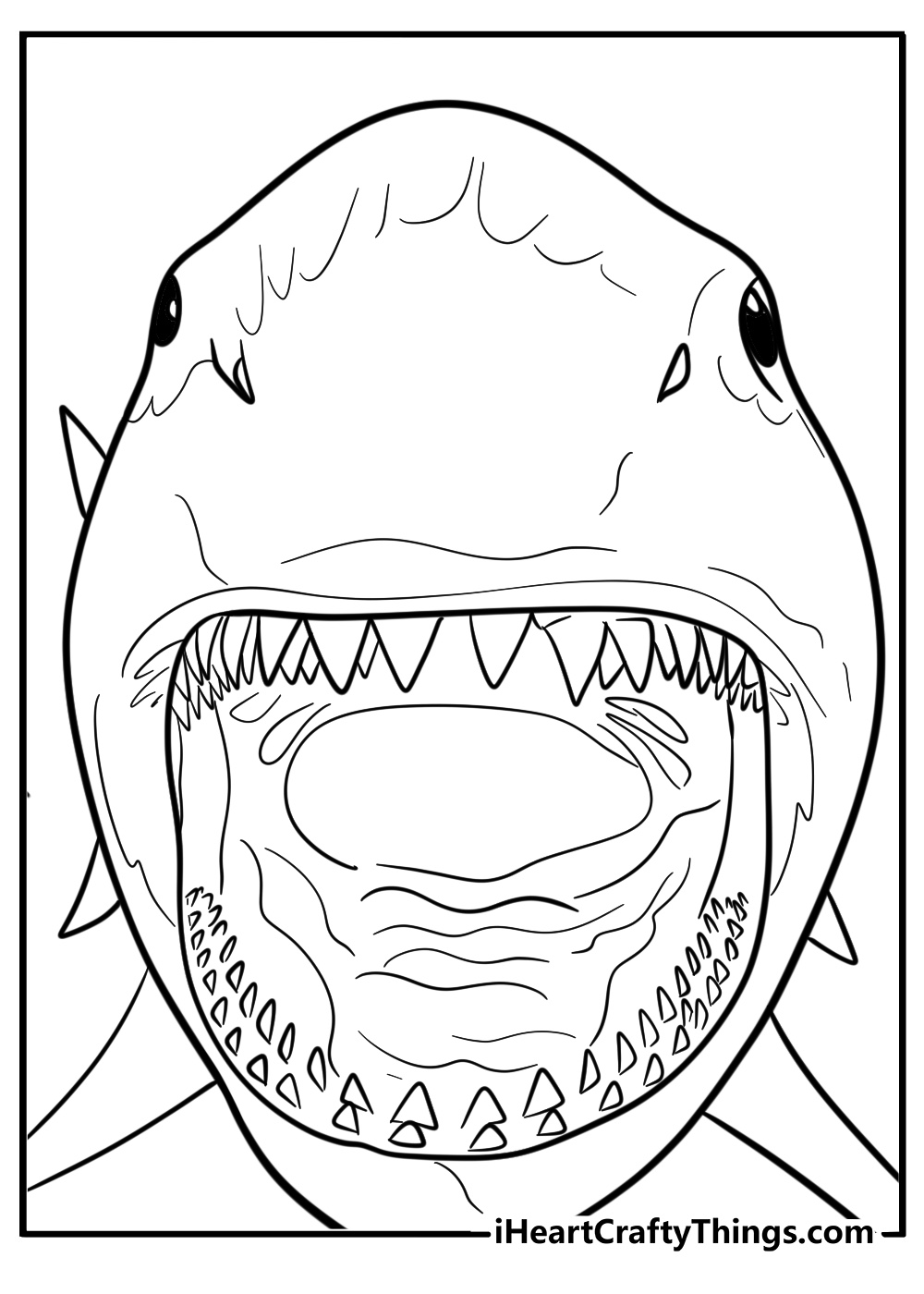 Close up of megalodon teeth free pdf coloring page