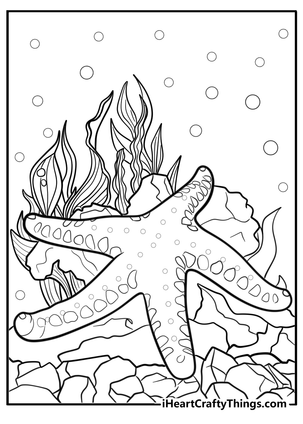 Detailed starfish underwater scene coloring sheet for adults