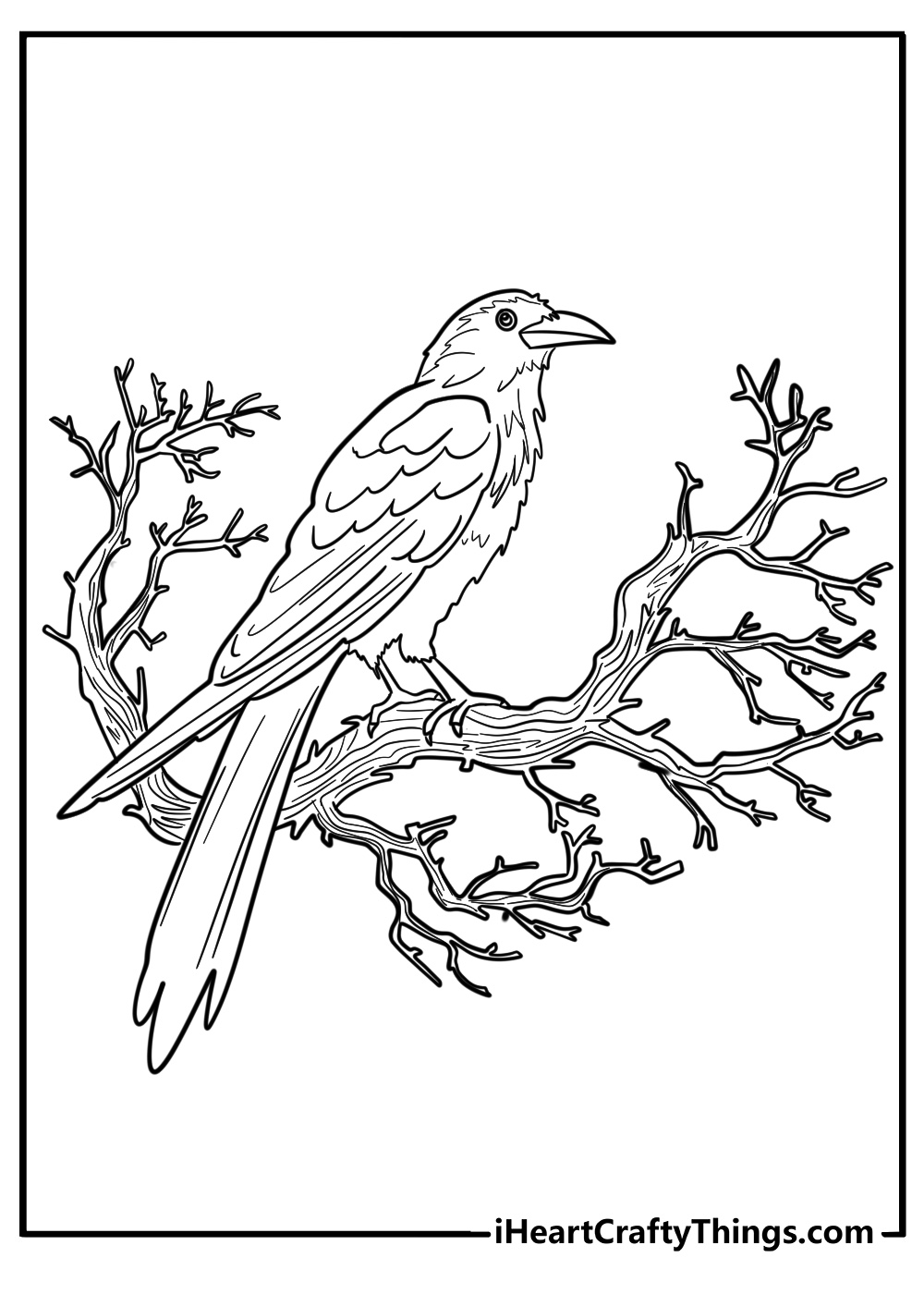 Gothic raven on a spooky branch detailed coloring page