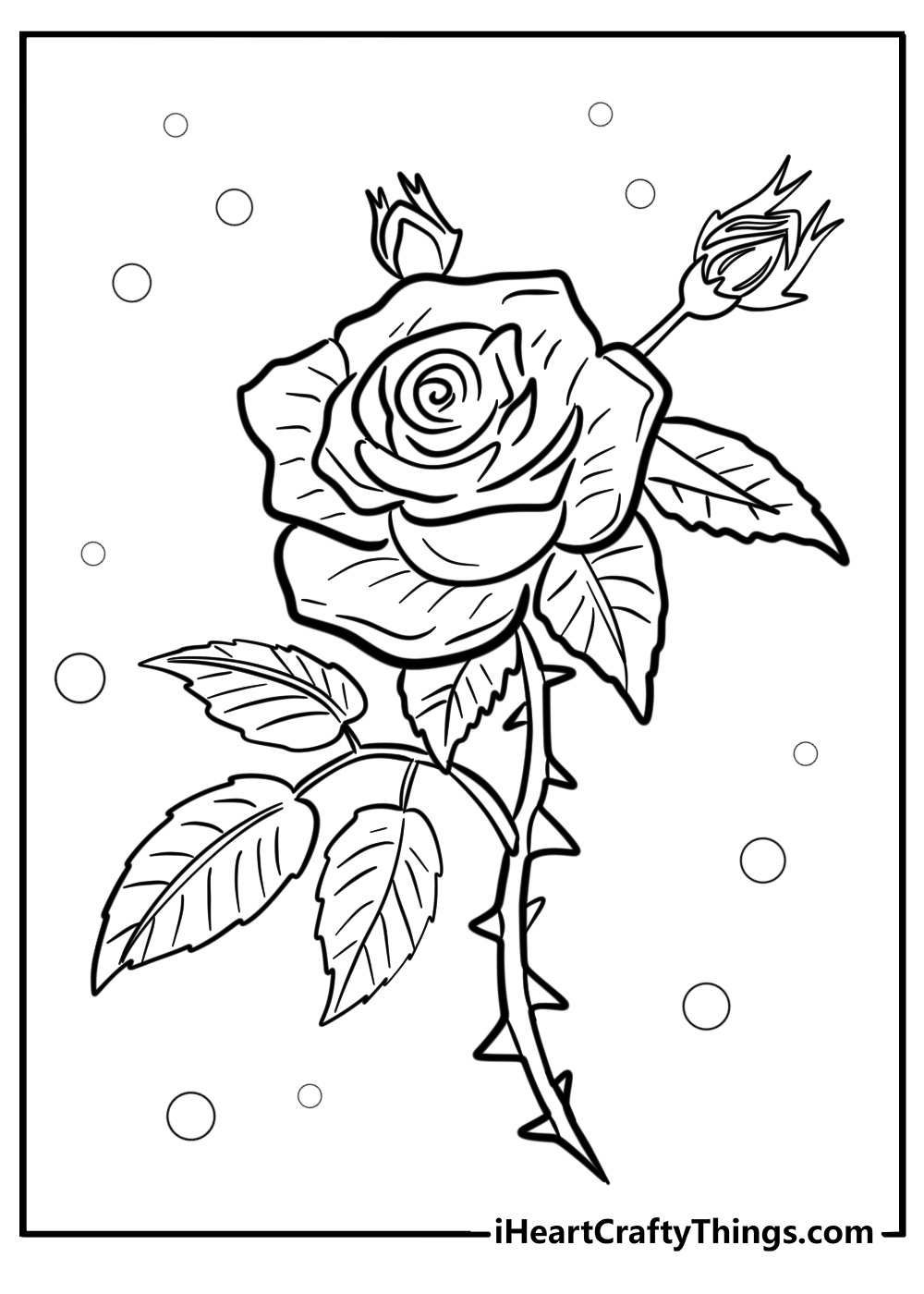 Gothic rose in full bloom with thorns coloring sheet for adults