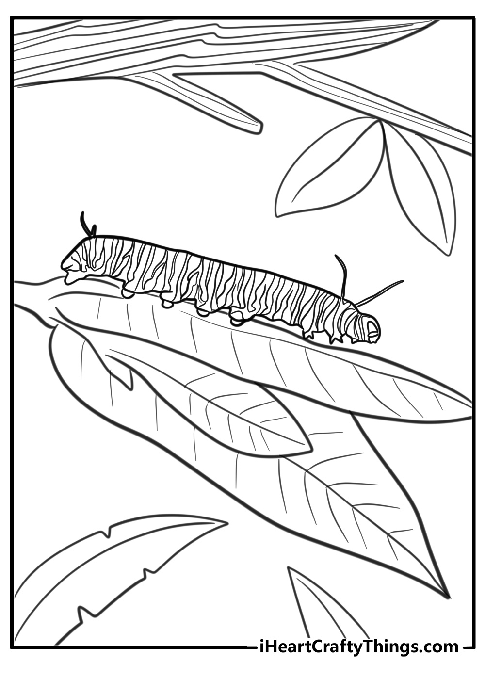 Monarch caterpillar on a milkweed leaf coloring page