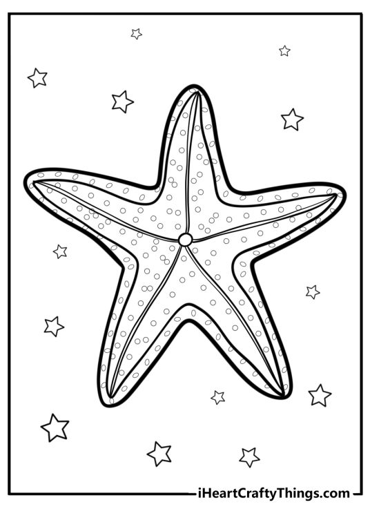 Sea star close up detailed coloring sheet for adults