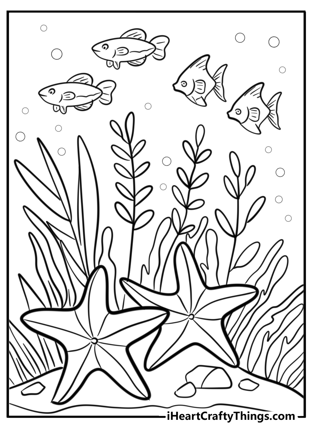 Sea star with seashells and fish coloring sheet for kids