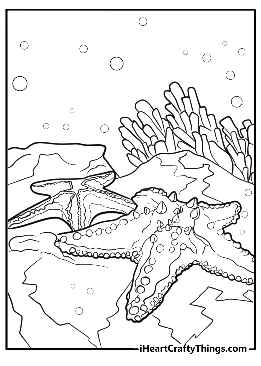 Starfish resting on the ocean floor fun coloring page