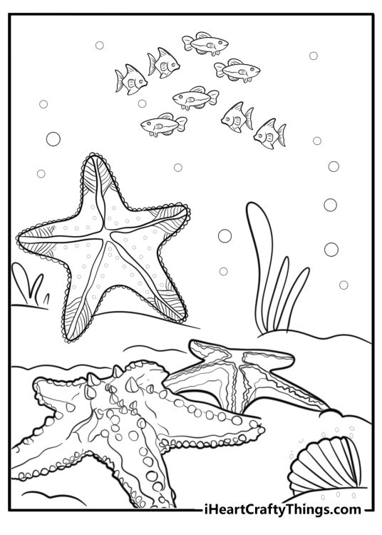 Starfish surrounded by coral free coloring page pdf