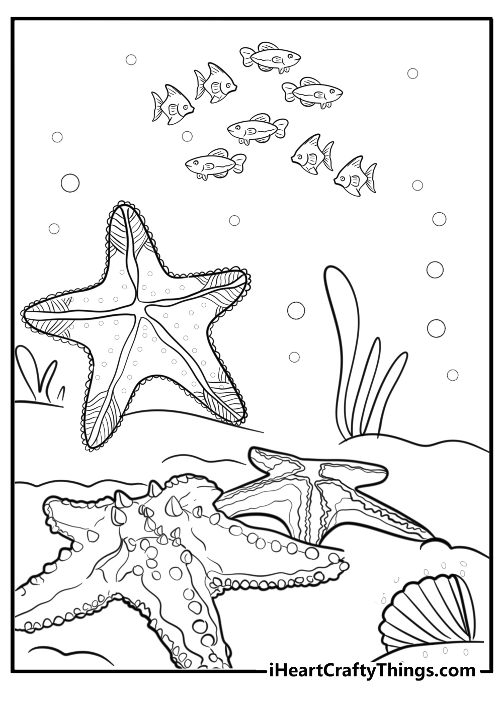 Starfish surrounded by coral free coloring page pdf