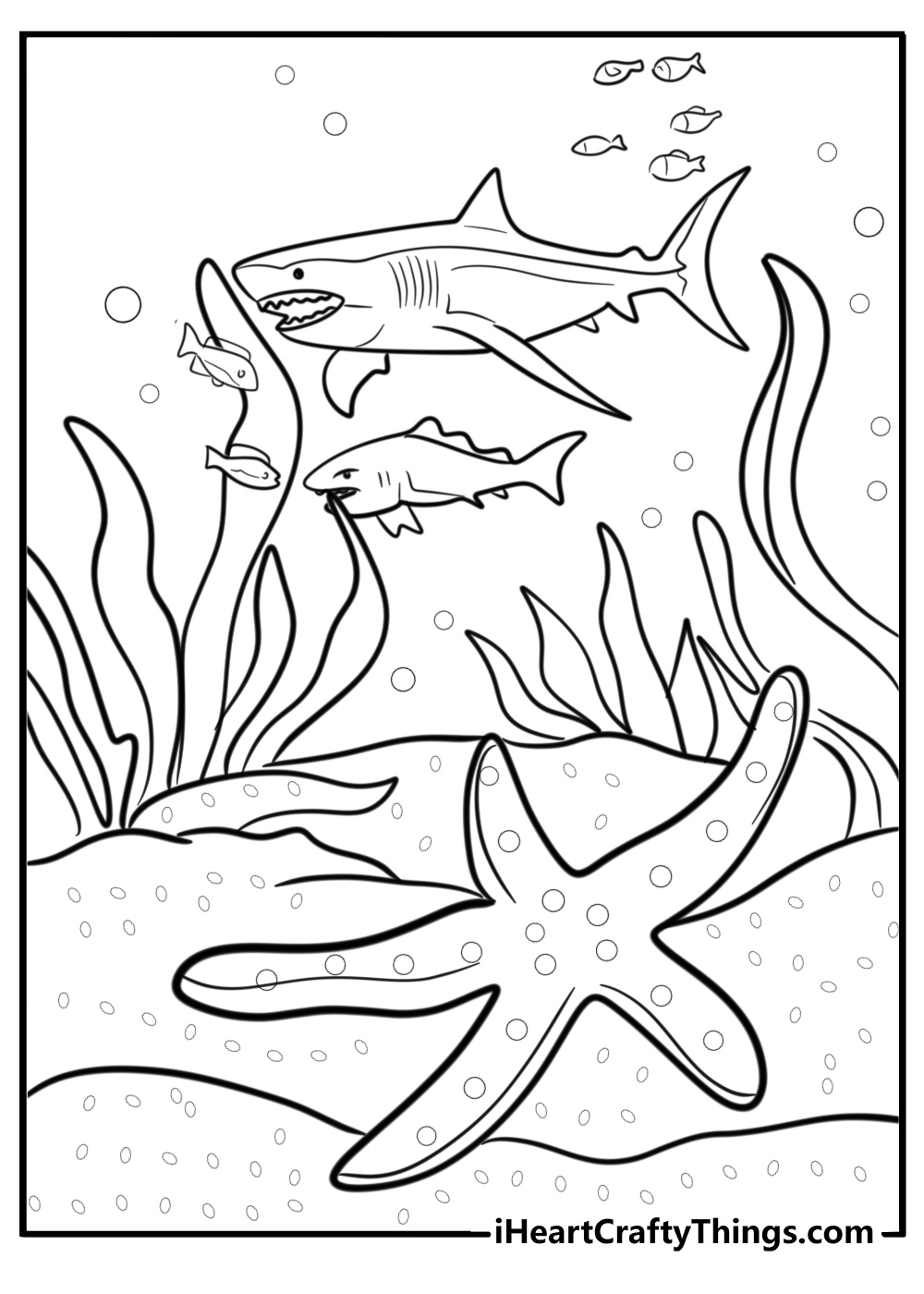 Starfish surrounded by marine life free printable coloring page