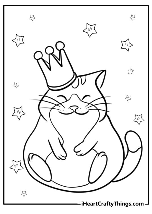 Picture of a happy-looking chunky unicorn cat wearing a crown with stars all around him