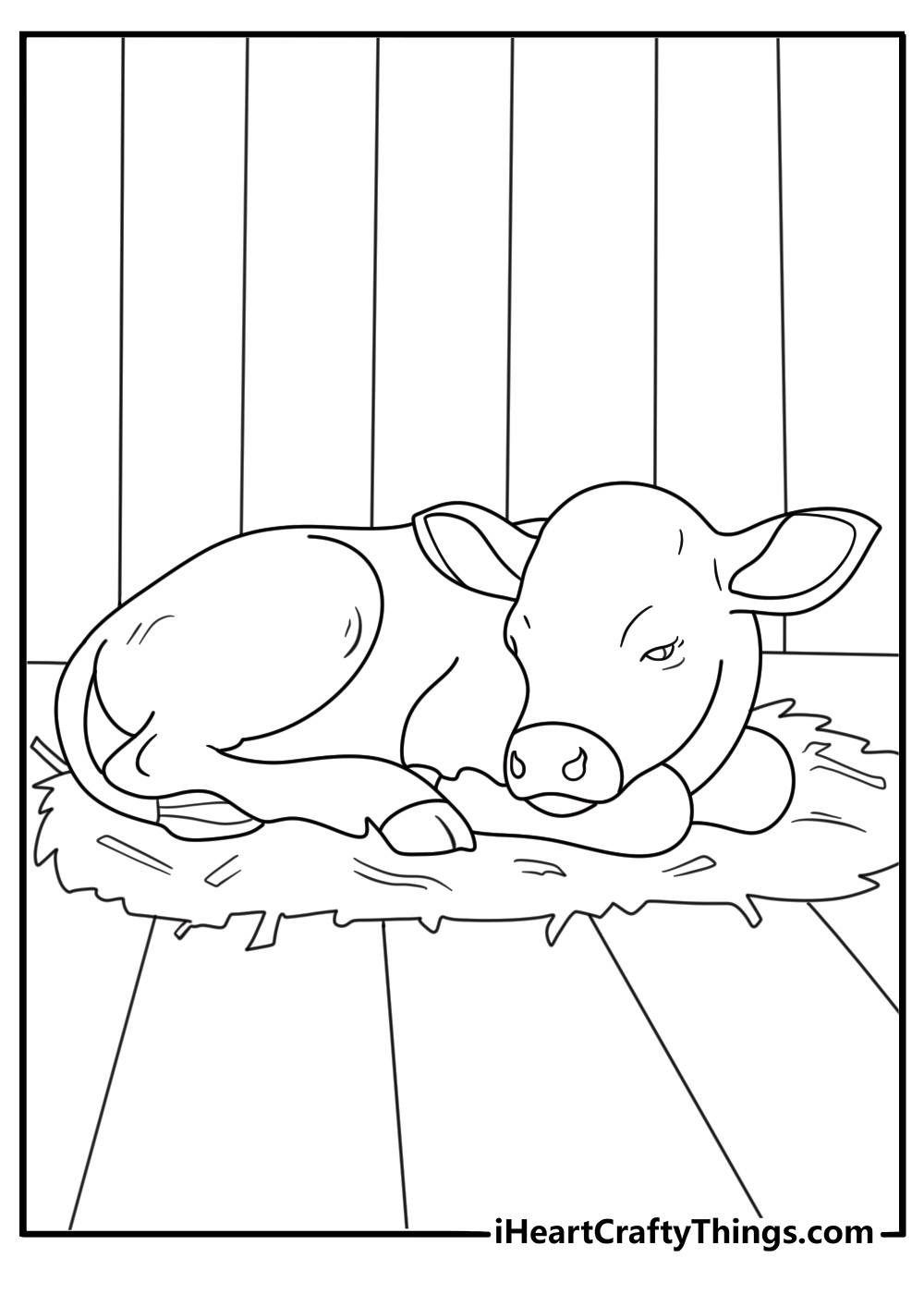Easy cow coloring page with a calf sleeping on a bed of straw