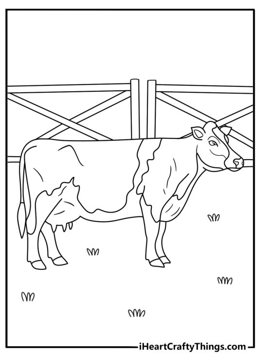 Free cow coloring printable with a jersey cow near a pasture gate
