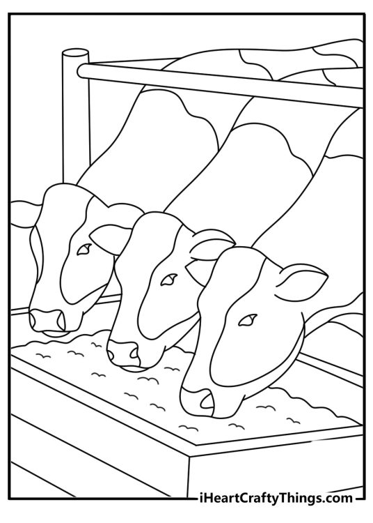 Simple printable cow coloring page with a cow eating from a feed trough
