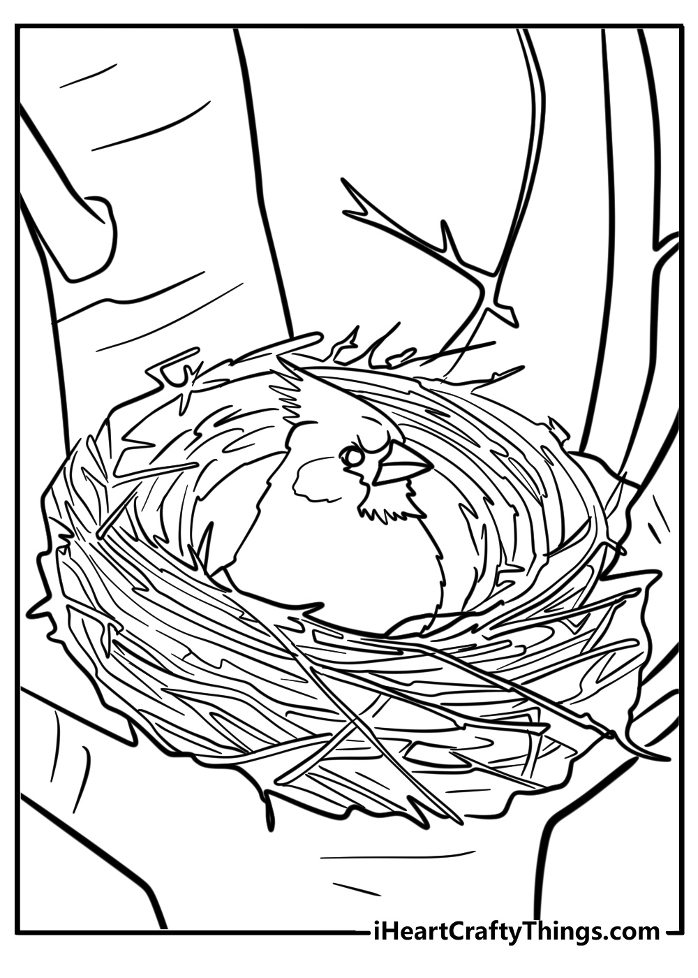 Cardinal and its nest in a tree free coloring page pdf