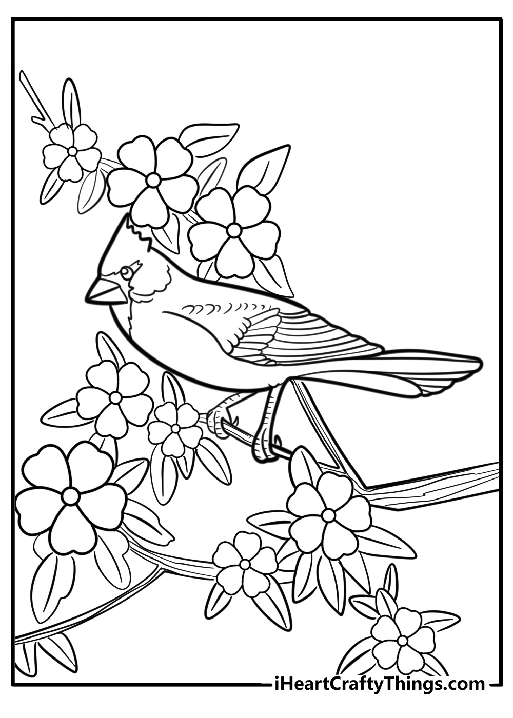 Cardinal in the spring with flowers coloring page