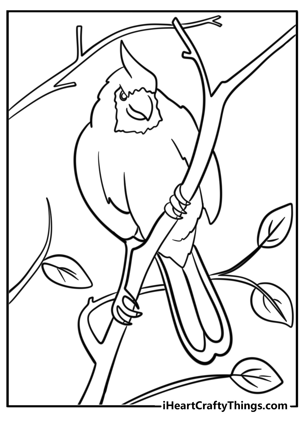 Cardinal looking for food in the garden free coloring page pdf