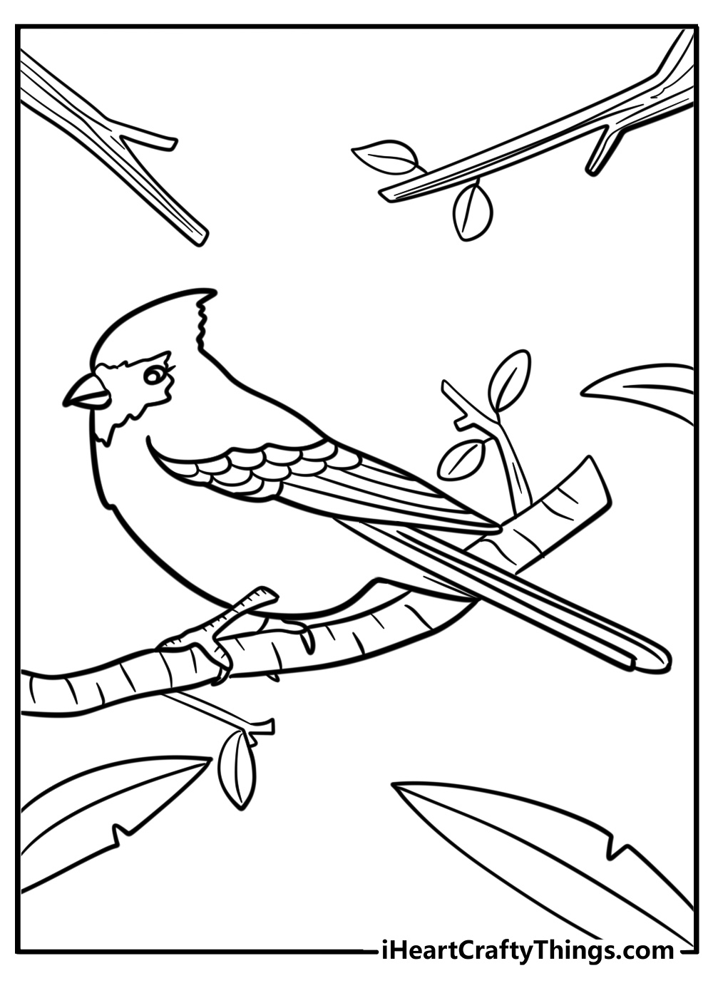 Cardinal on a blooming branch detailed bird coloring sheet