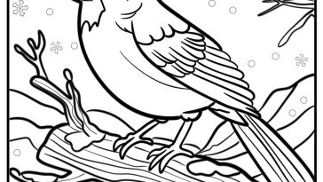 Cardinal on a snowy branch detailed coloring sheet