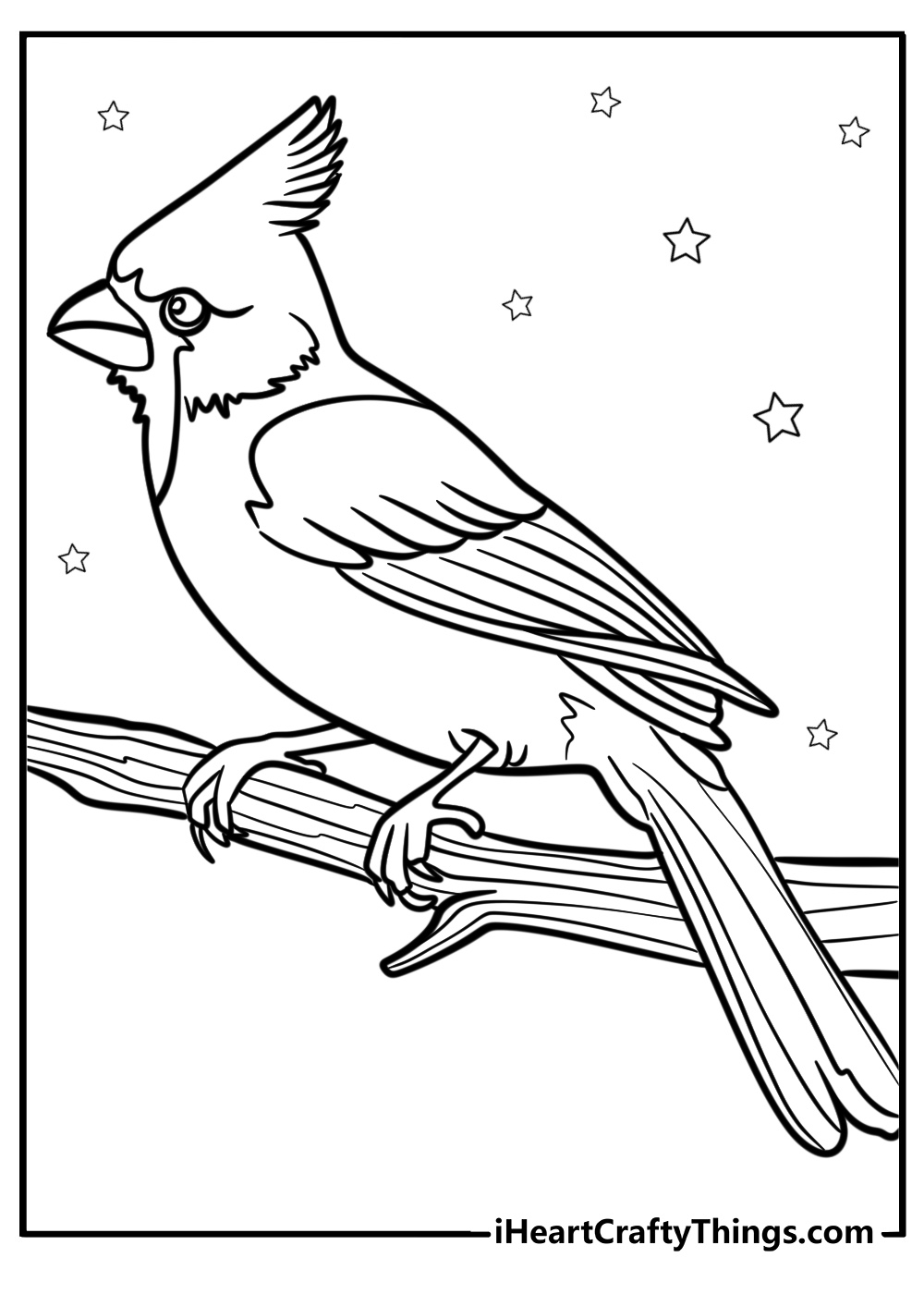 Cardinal perched on a branch coloring page for kids