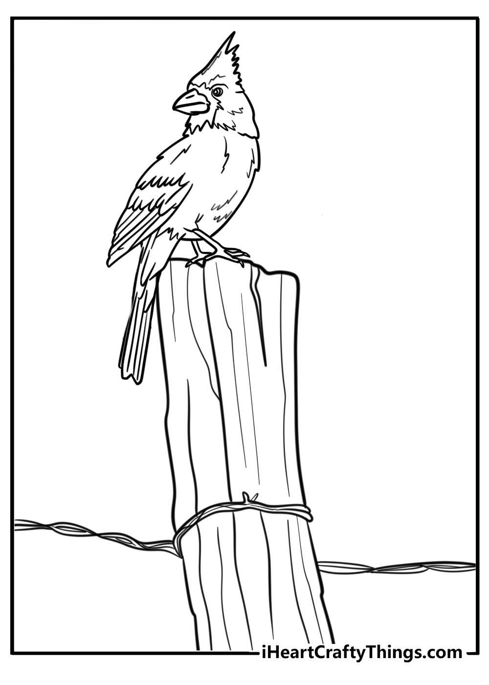 Cardinal perched on a fence free printable coloring page