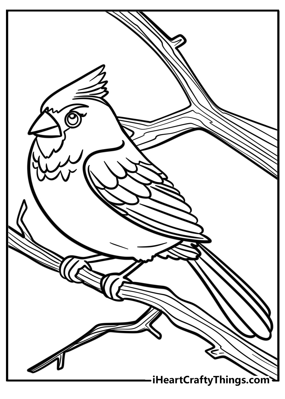 Cardinal sitting on a tree free coloring page pdf