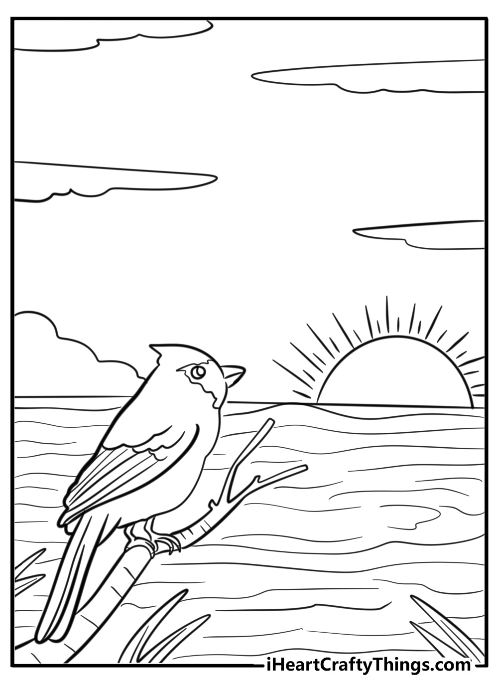 Cardinal watching the sunrise coloring page