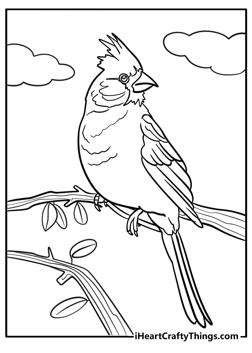 Cardinal with a bright crest fun printable coloring sheet