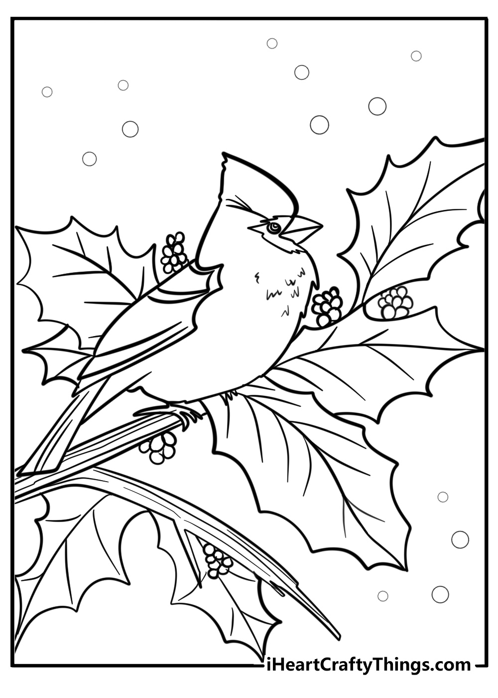 Cardinal with berries detailed bird coloring sheet