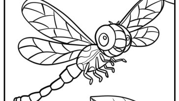 Cartoon dragonfly with big eyes fun coloring sheet