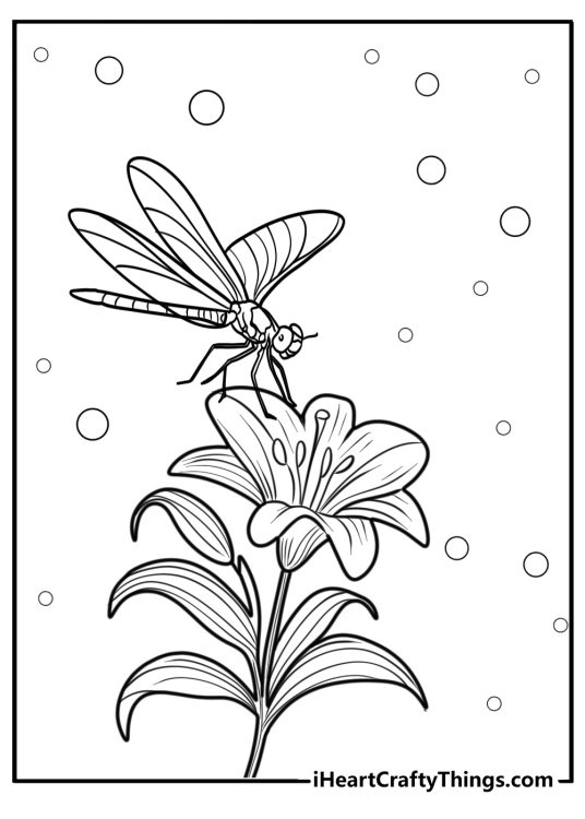 Detailed dragonfly close up on a flower coloring sheet
