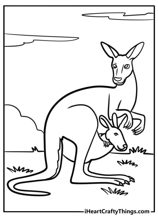 Coloring picture for children of a realistic kangaroo carrying baby in its pouch