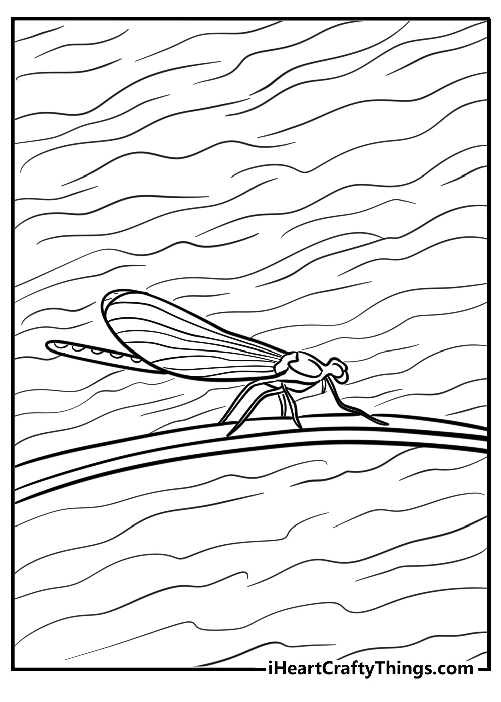 Dragonfly above a river free coloring page pdf