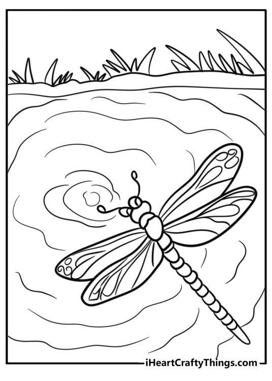 Dragonfly flying over a pond coloring page for kids