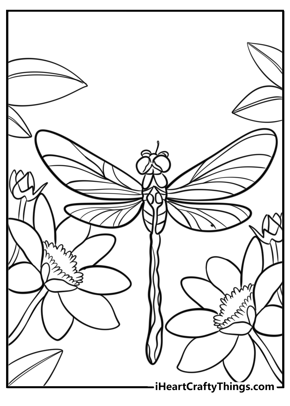 Dragonfly flying through flowers printable coloring page