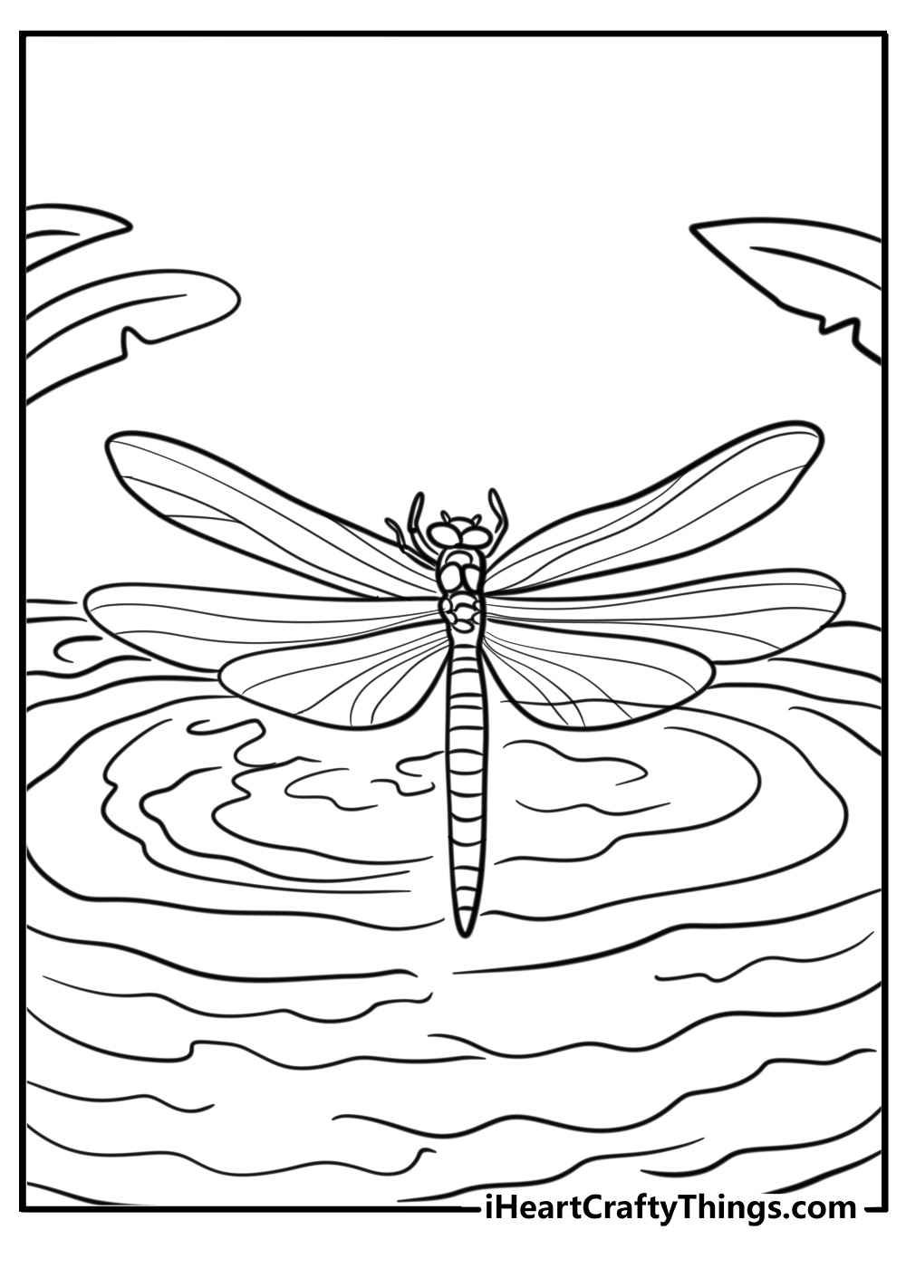 Dragonfly hovering above the water detailed coloring sheet