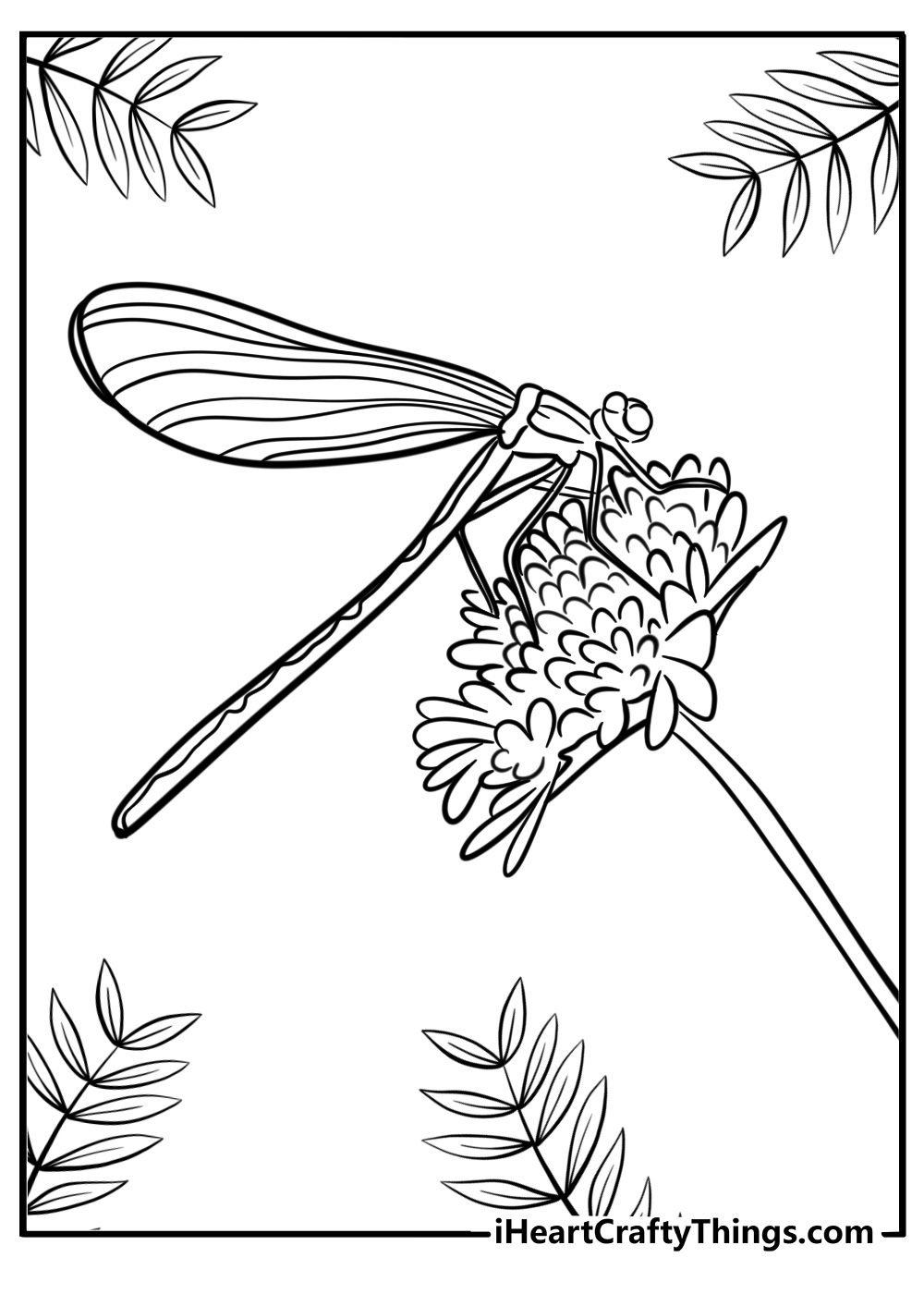 Dragonfly in a garden coloring page