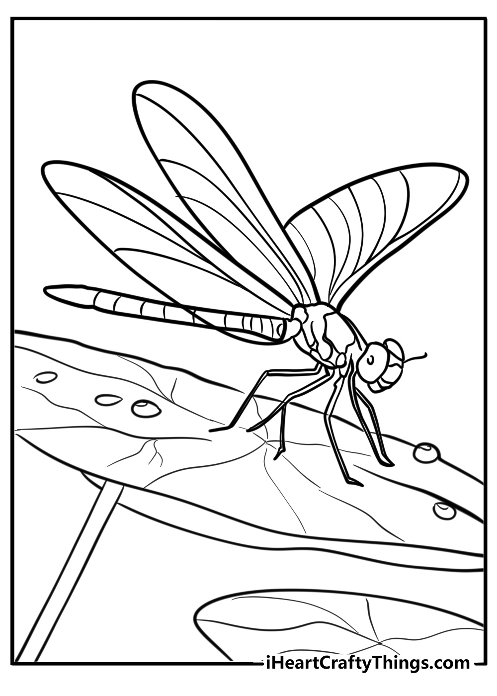 Dragonfly perched on a leaf detailed coloring sheet