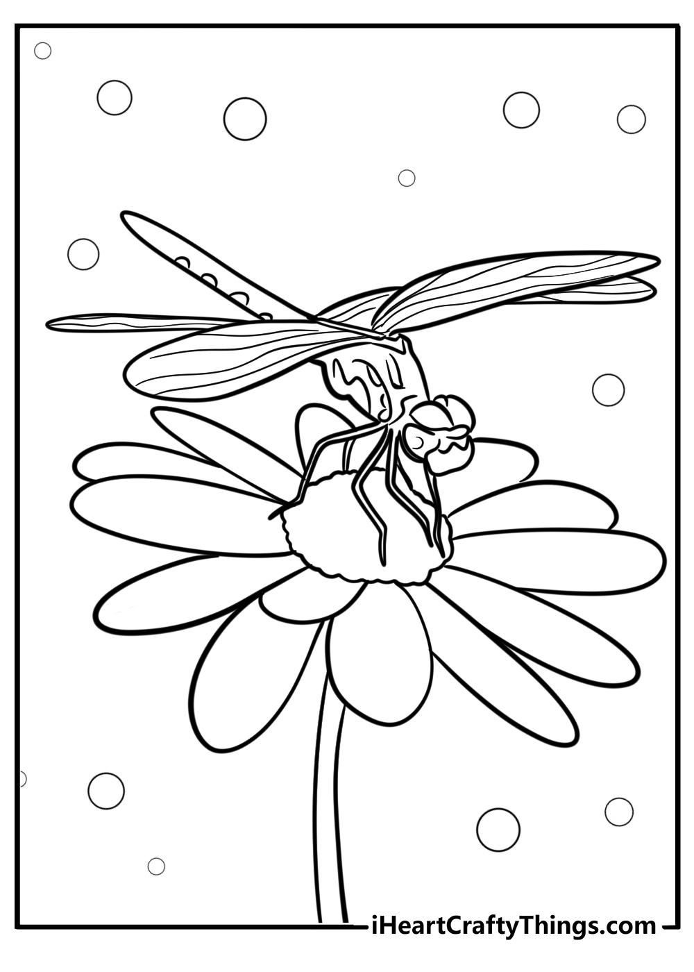 Dragonfly resting on a flower free coloring page pdf