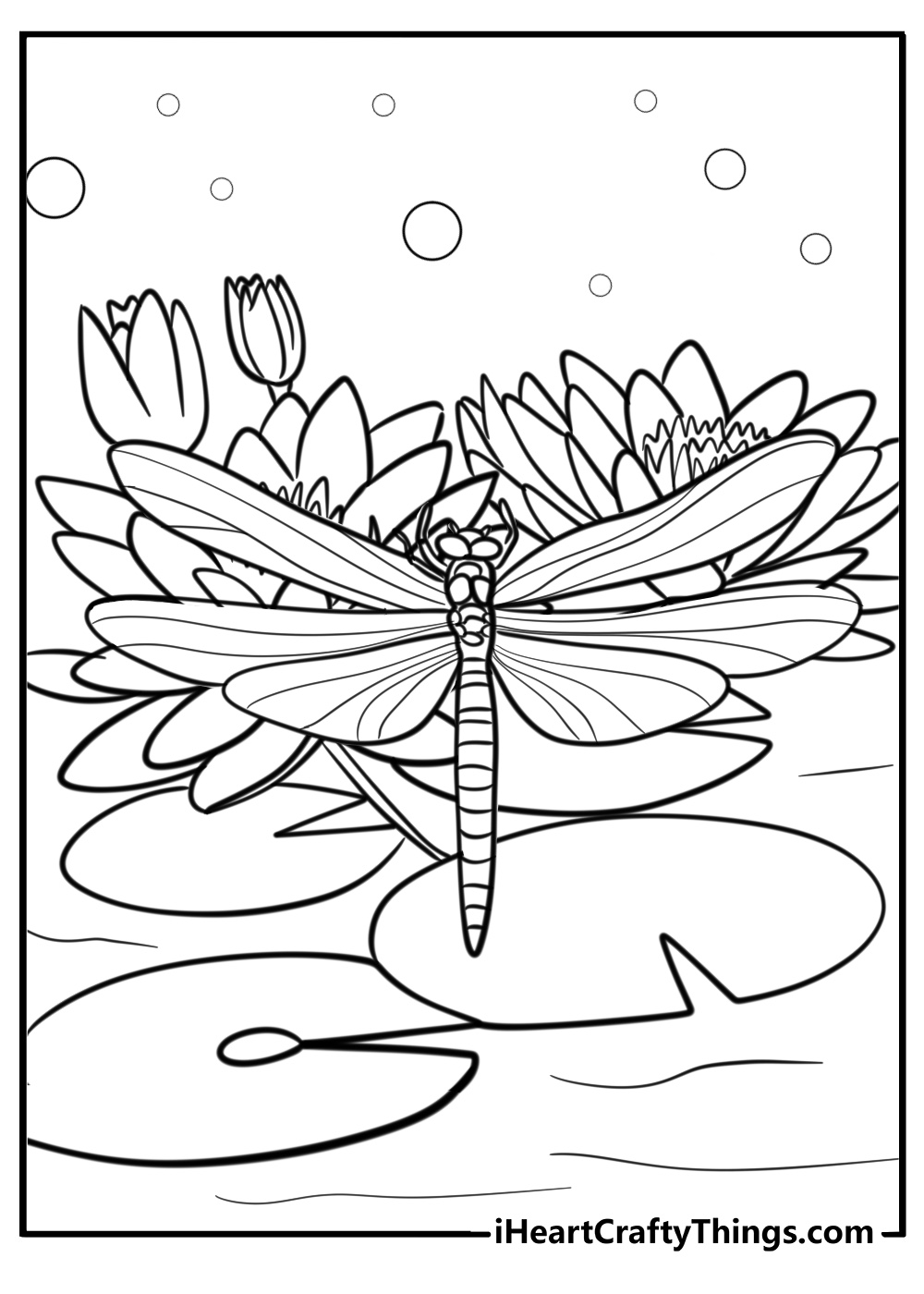 Dragonfly with floral background fun coloring sheet