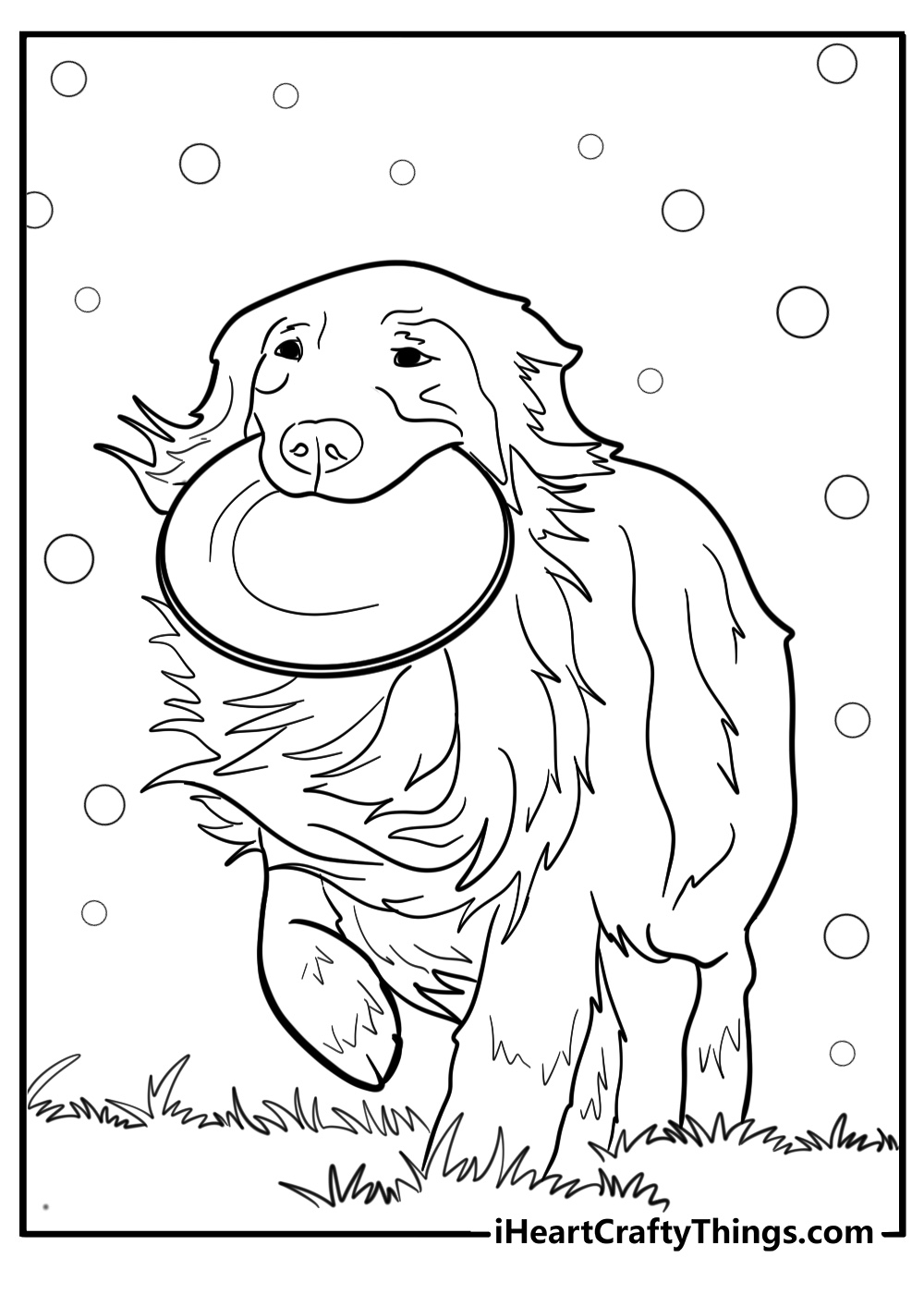 Golden retriever catching a frisbee coloring page for kids