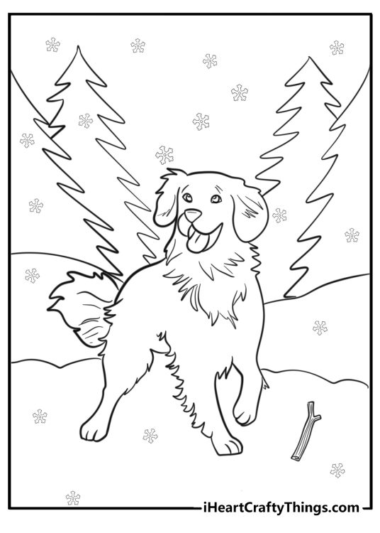 Golden retriever playing in the snow free coloring page pdf