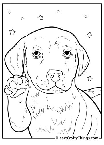 Golden retriever puppy giving a paw fun coloring sheet