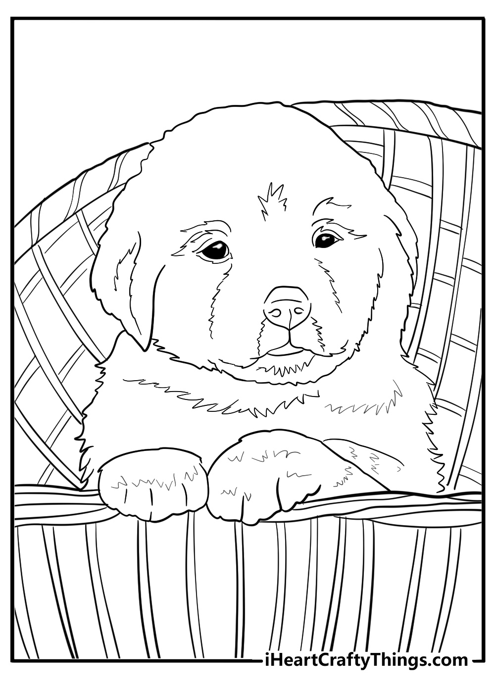 Golden retriever puppy in a basket detailed coloring sheet