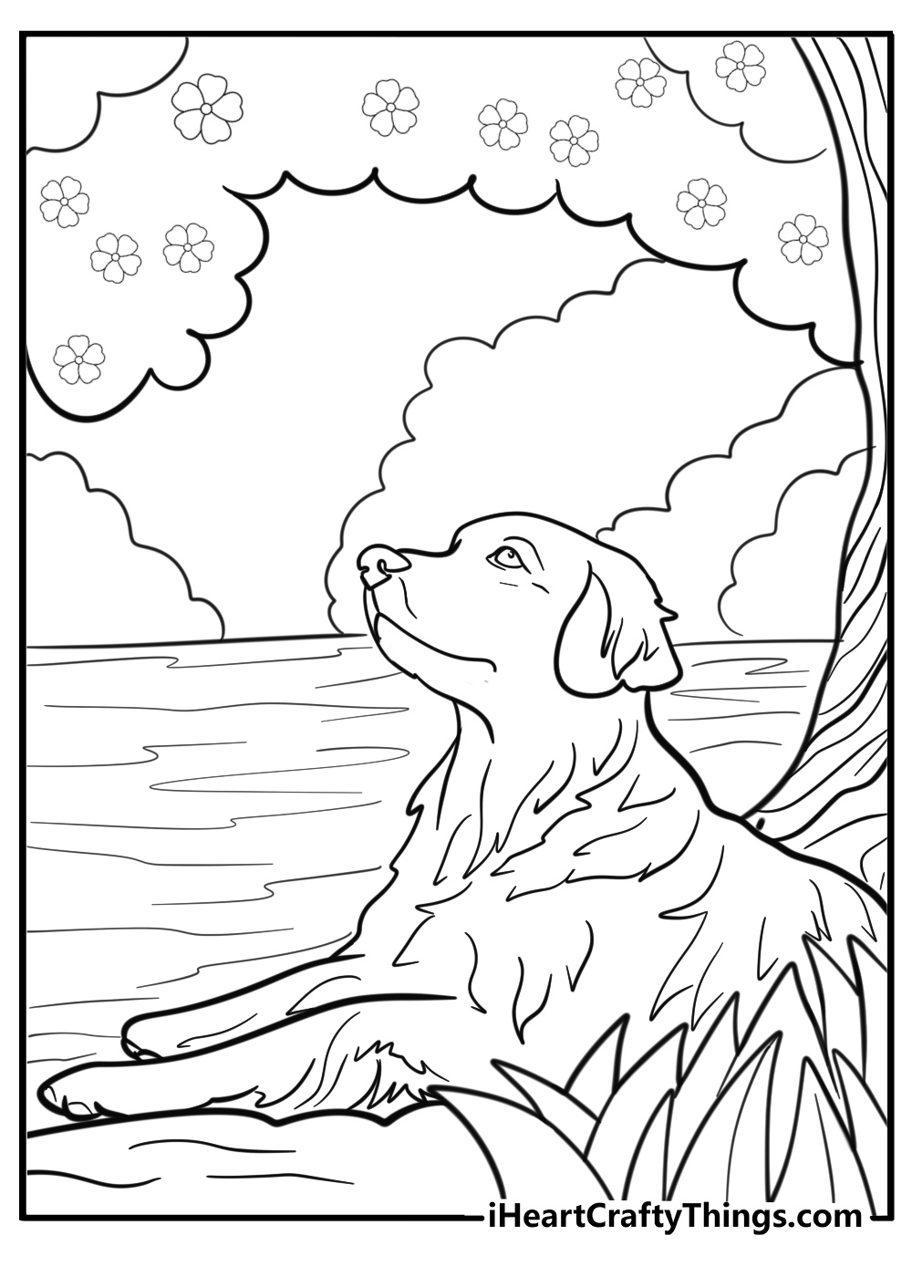 Golden retriever resting in the shade detailed coloring sheet