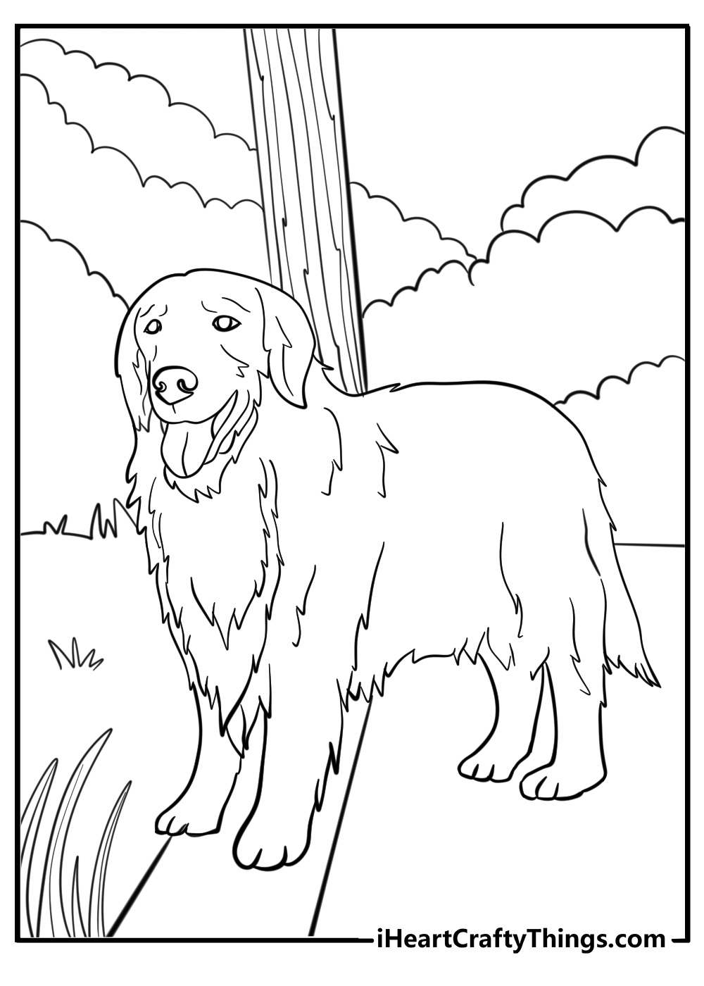 Golden retriever standing in the yard detailed coloring sheet