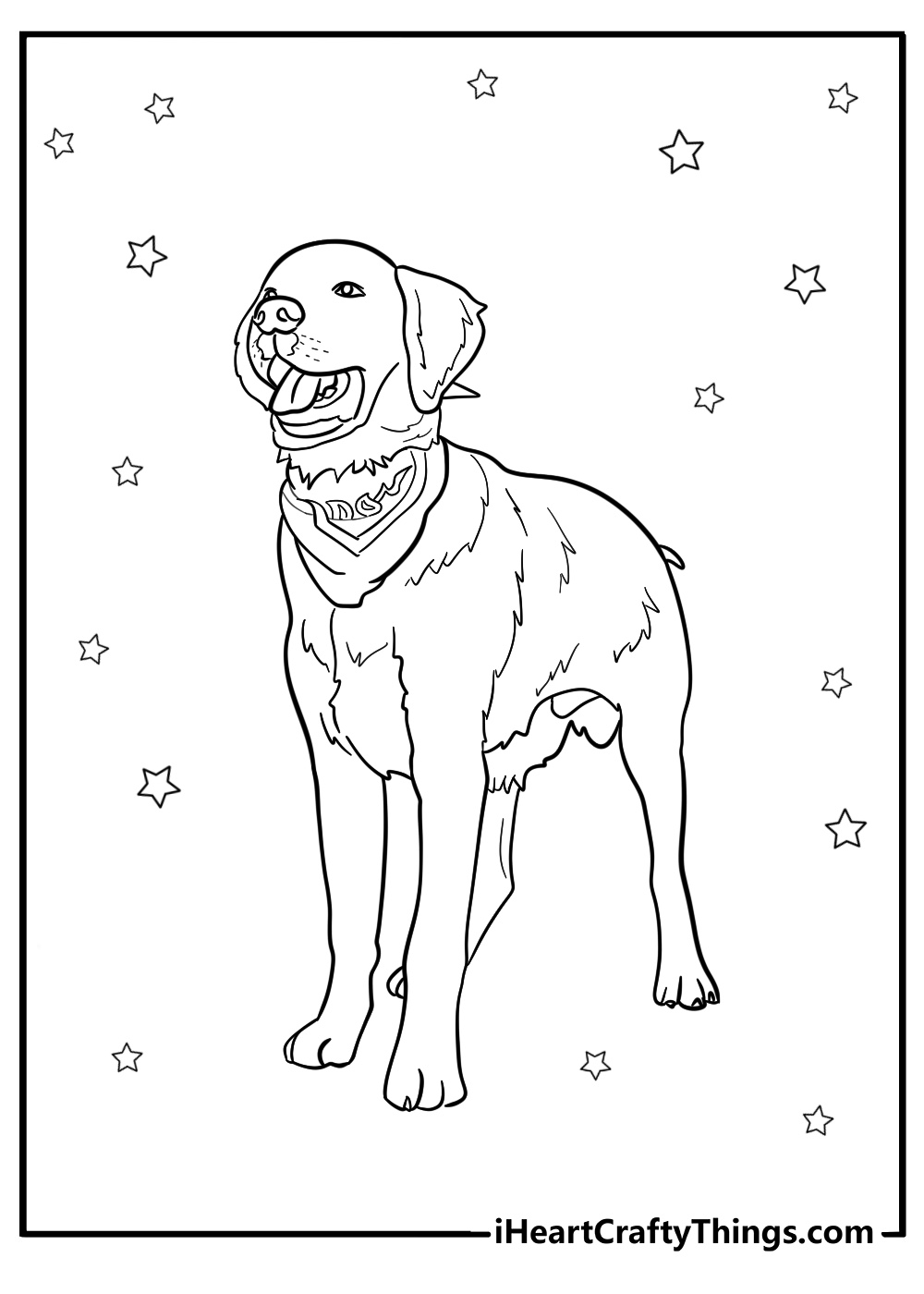 Golden retriever with a bandana fun coloring sheet