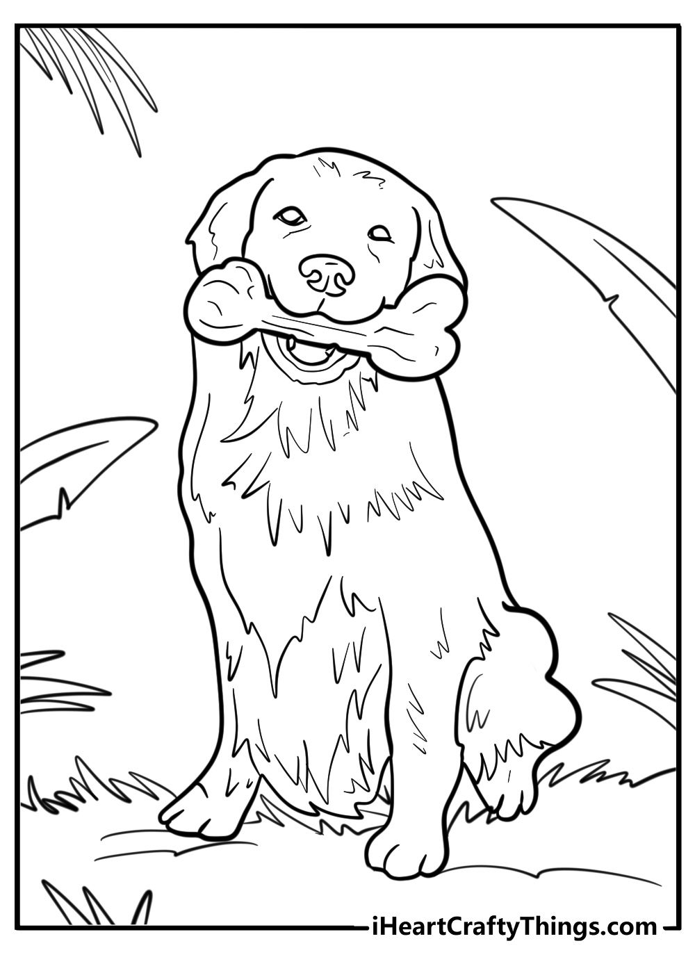 Golden retriever with a bone detailed coloring sheet