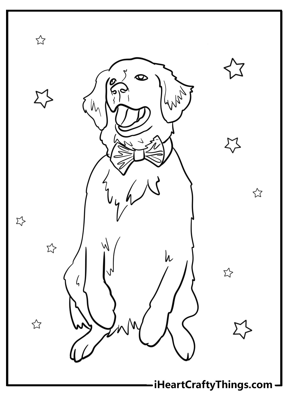 Golden retriever with a bow tie printable coloring page