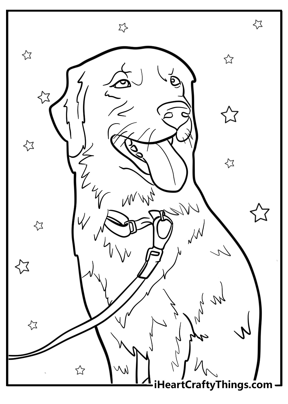 Golden retriever with a leash free printable coloring page