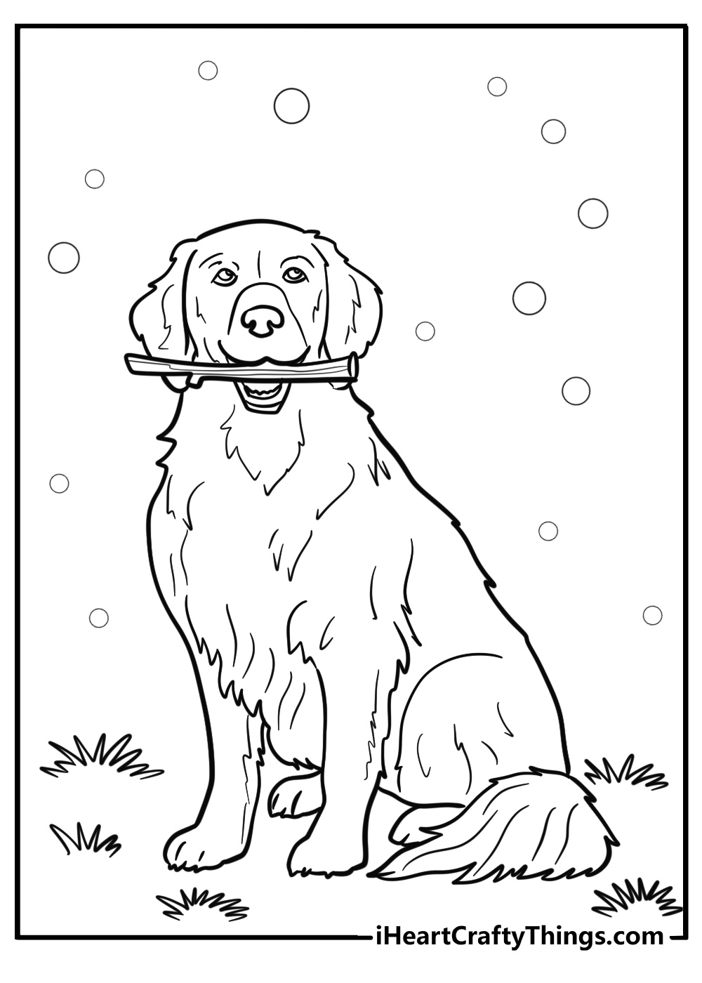 Golden retriever with a stick in the park printable coloring page