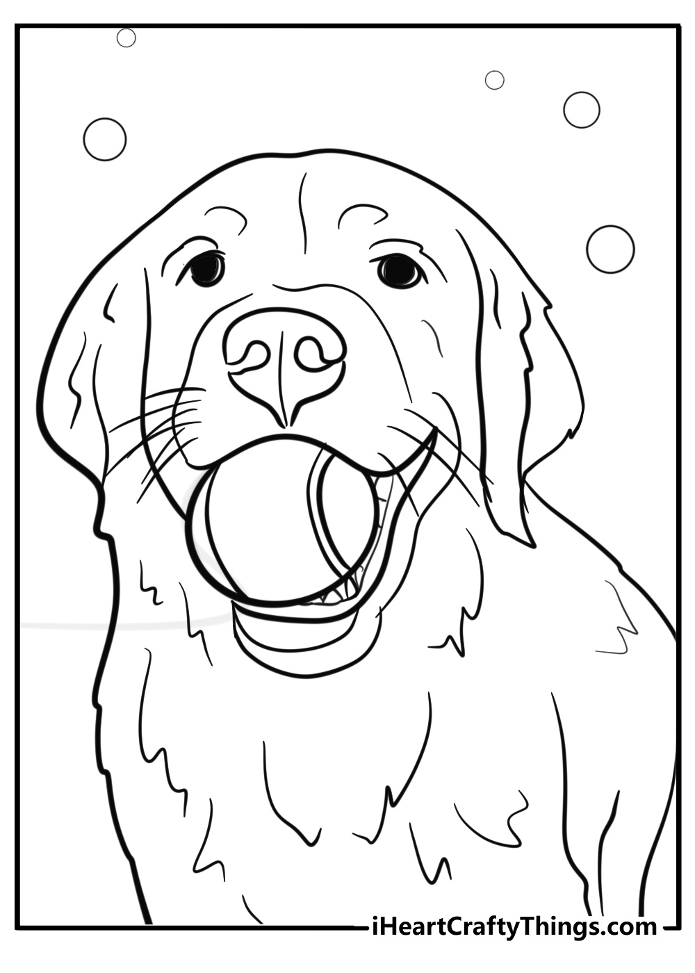 Golden retriever with a tennis ball detailed coloring sheet