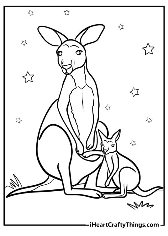 Drawing of a realistic kangaroo and its joey standing side by side with stars all around them